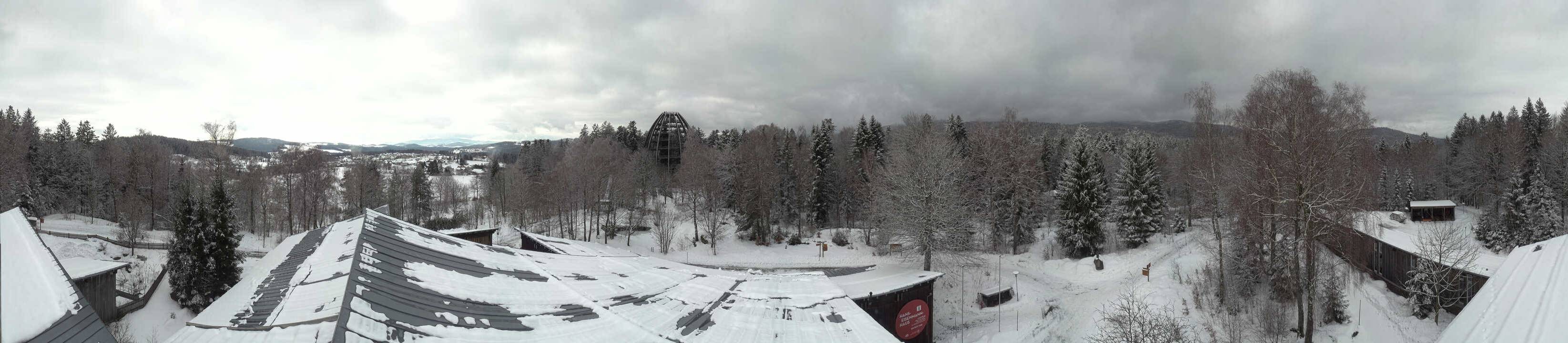 Archiv Foto Webcam Neuschönau - Baumwipfelpfad Bayerischer Wald