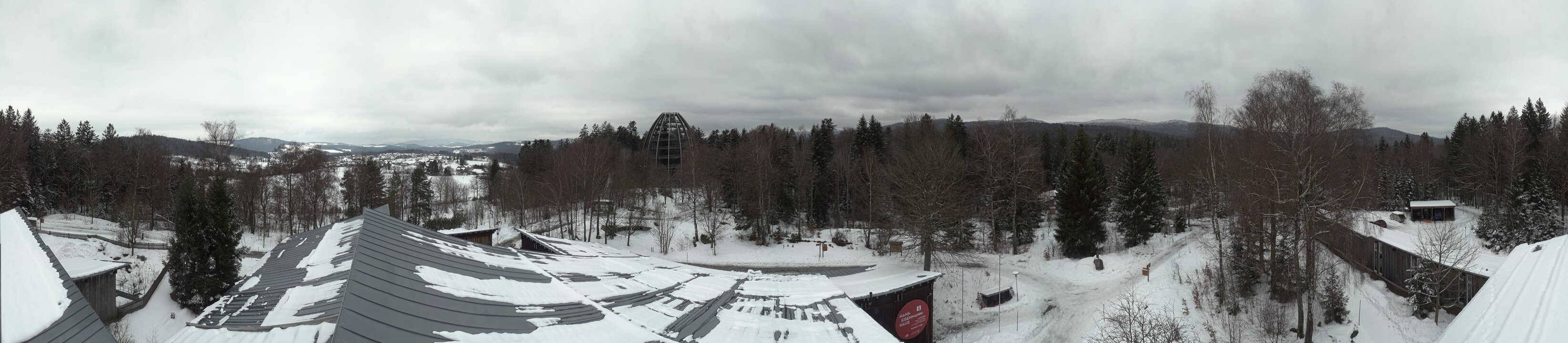 Archiv Foto Webcam Neuschönau - Baumwipfelpfad Bayerischer Wald