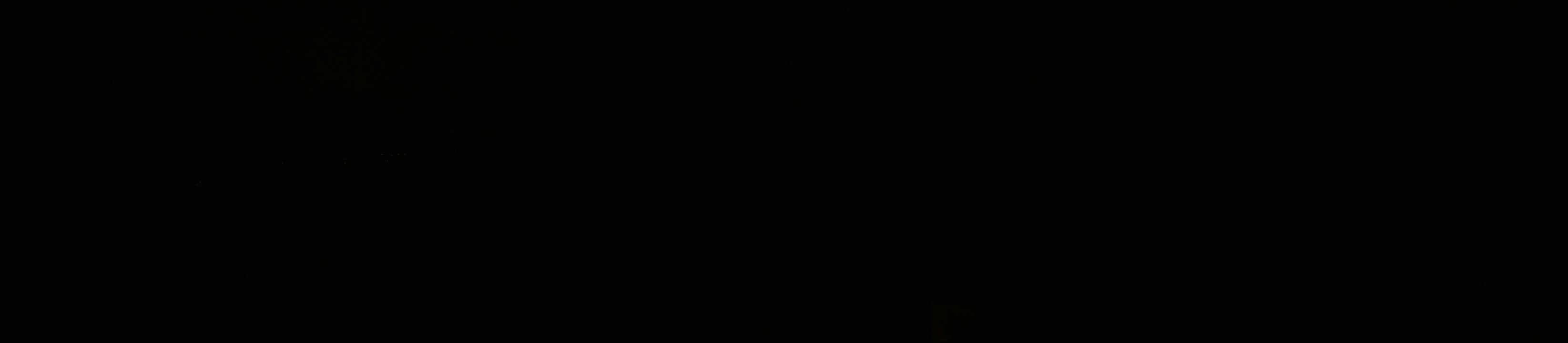 Archiv Foto Webcam Neuschönau - Baumwipfelpfad Bayerischer Wald