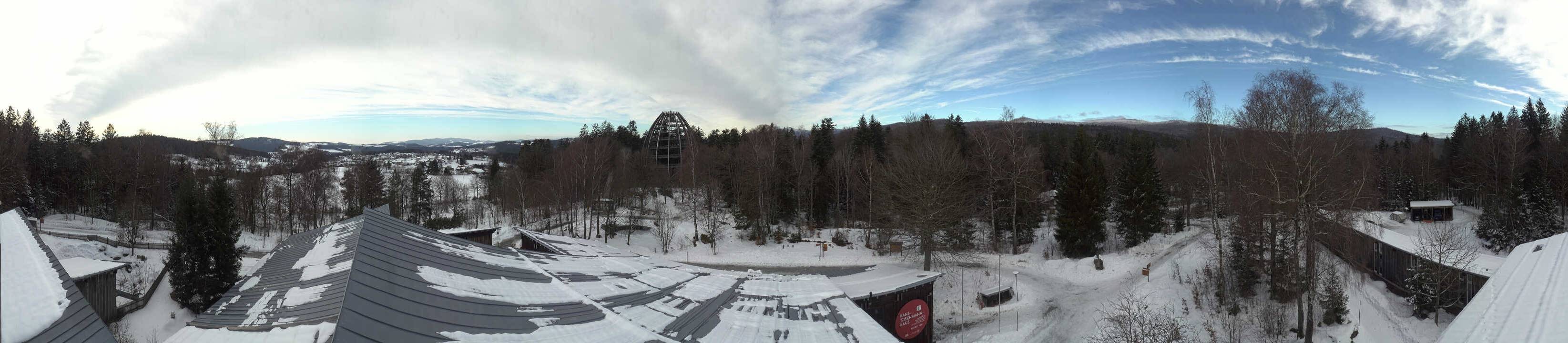 Archiv Foto Webcam Neuschönau - Baumwipfelpfad Bayerischer Wald