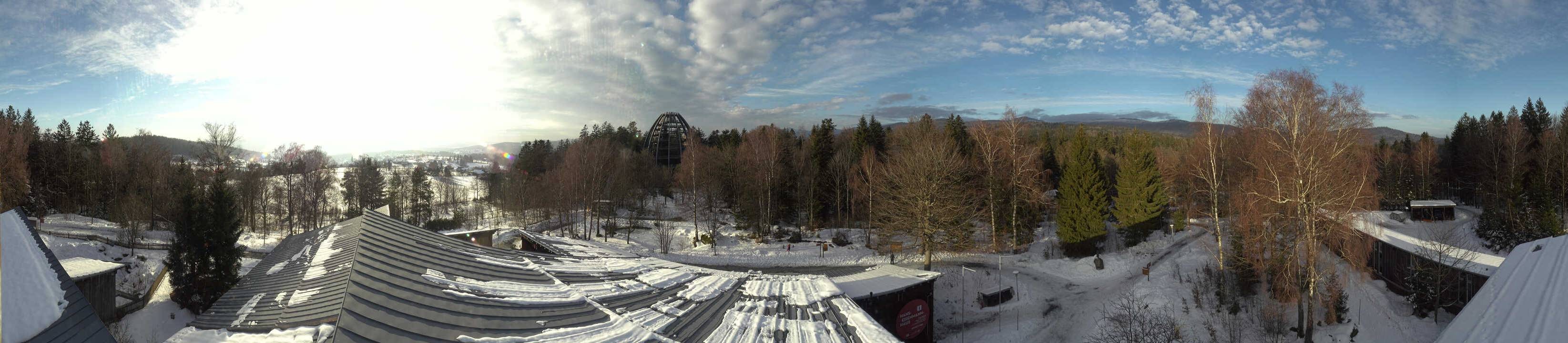 Archiv Foto Webcam Neuschönau - Baumwipfelpfad Bayerischer Wald