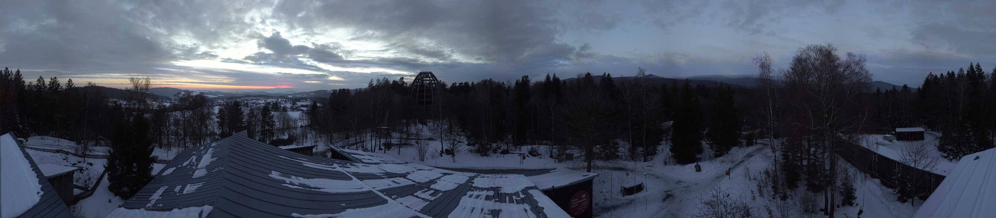 Archiv Foto Webcam Neuschönau - Baumwipfelpfad Bayerischer Wald