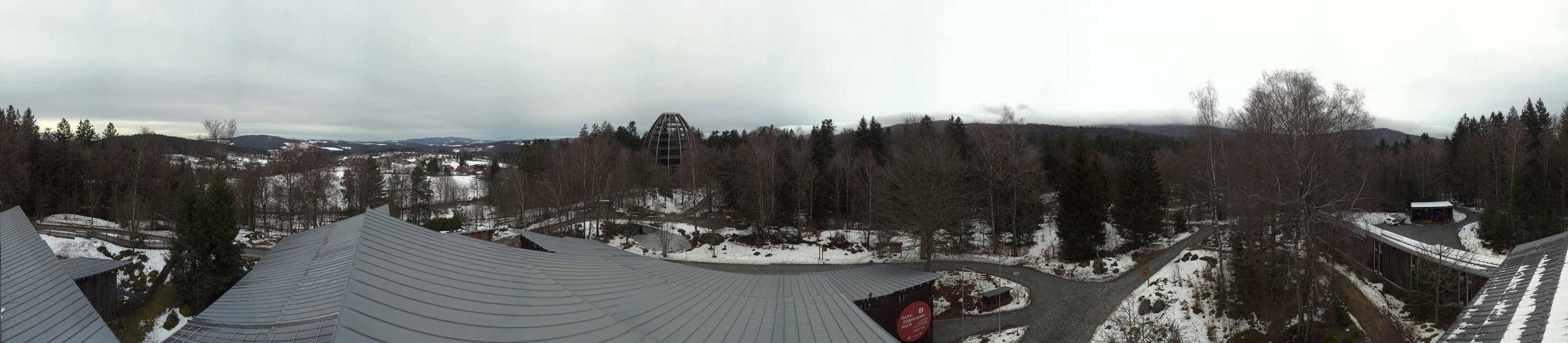 Archiv Foto Webcam Neuschönau - Baumwipfelpfad Bayerischer Wald