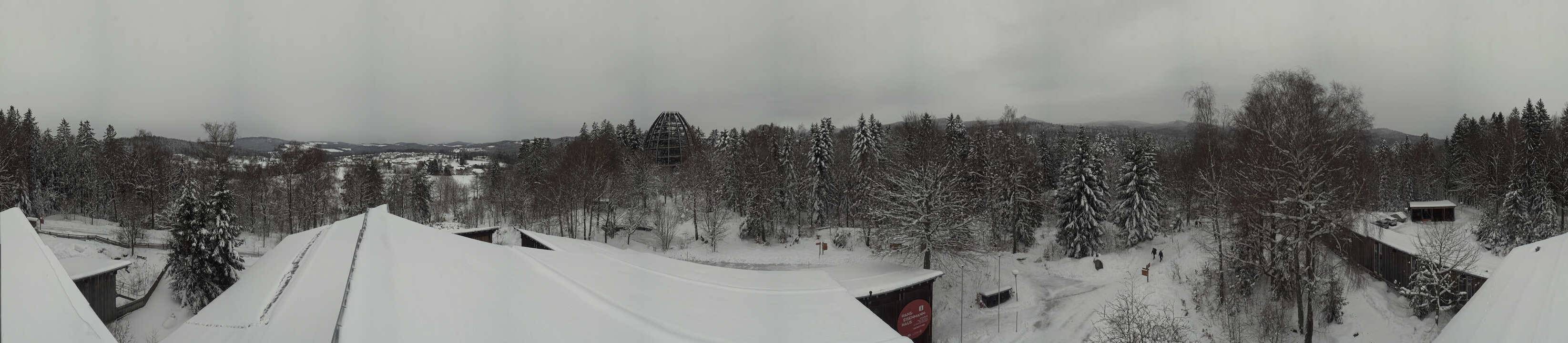 Archiv Foto Webcam Neuschönau - Baumwipfelpfad Bayerischer Wald