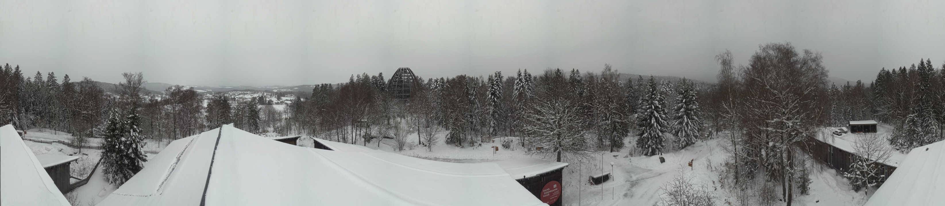 Archiv Foto Webcam Neuschönau - Baumwipfelpfad Bayerischer Wald