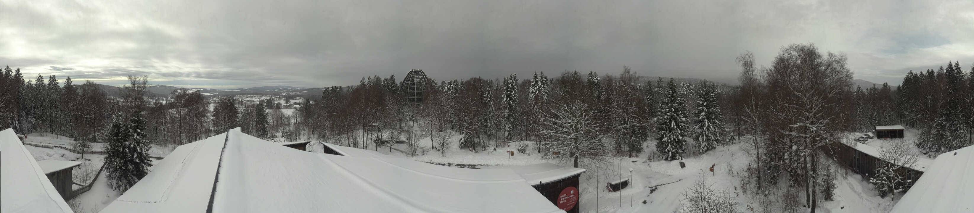 Archiv Foto Webcam Neuschönau - Baumwipfelpfad Bayerischer Wald