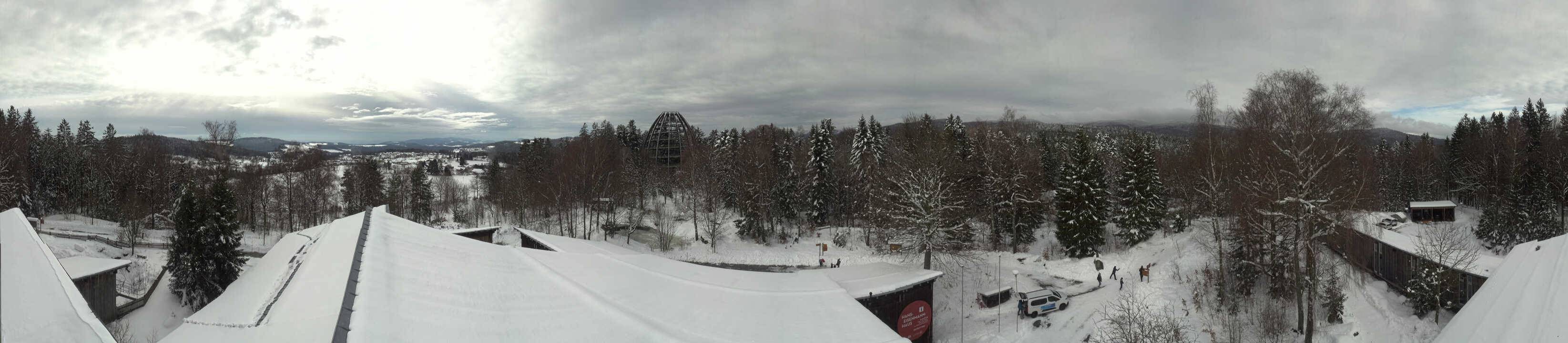 Archiv Foto Webcam Neuschönau - Baumwipfelpfad Bayerischer Wald