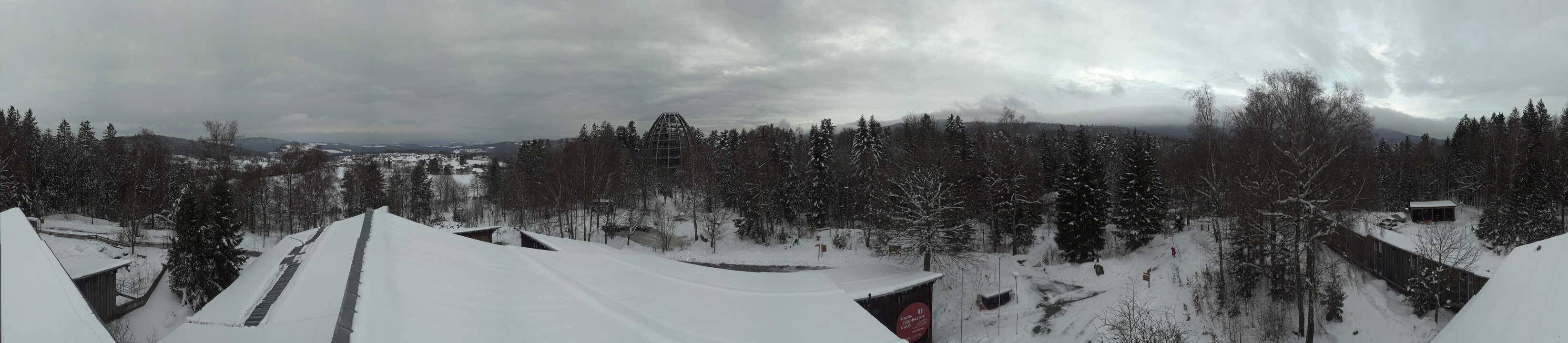 Archiv Foto Webcam Neuschönau - Baumwipfelpfad Bayerischer Wald