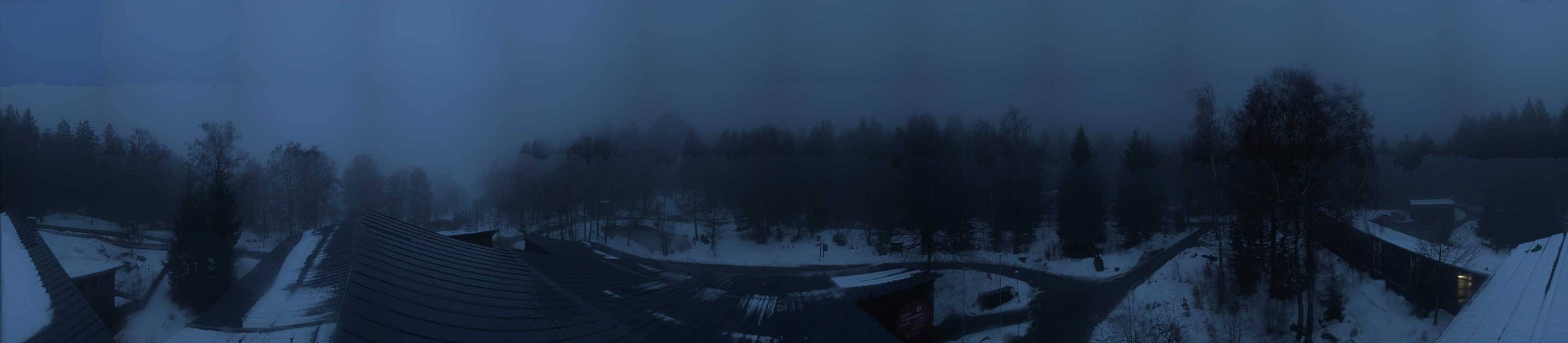 Archived image Webcam Neuschönau - Tree Top Walk Bavarian Forest