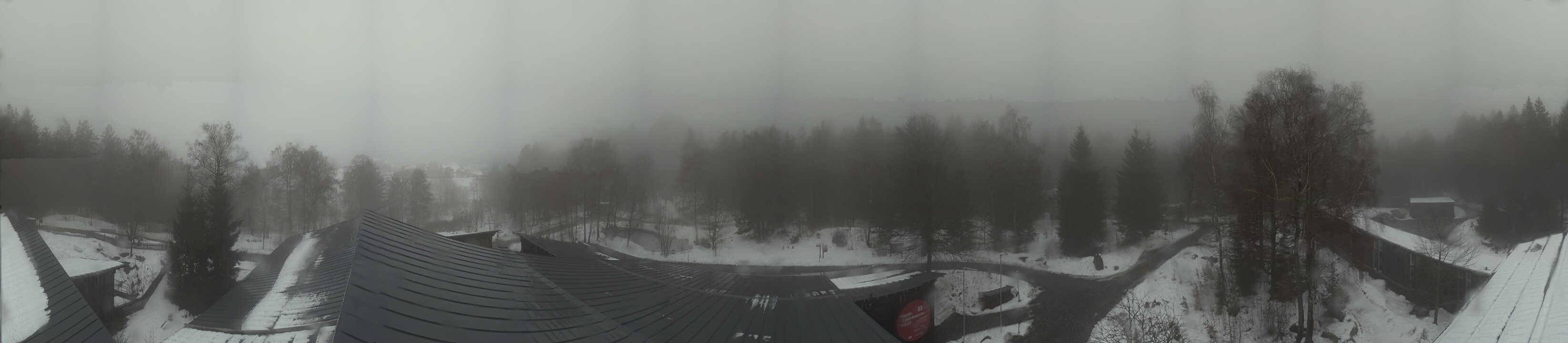 Archived image Webcam Neuschönau - Tree Top Walk Bavarian Forest