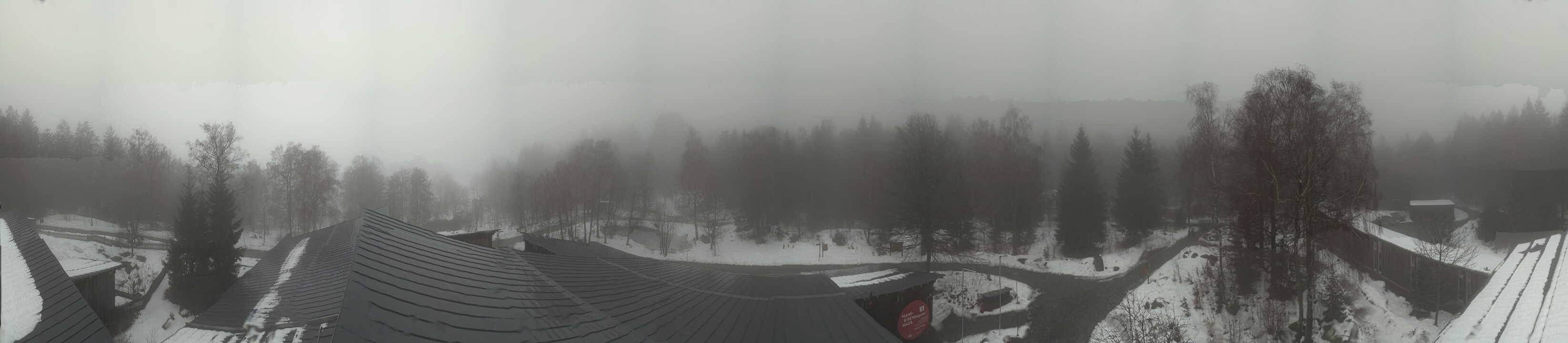 Archived image Webcam Neuschönau - Tree Top Walk Bavarian Forest