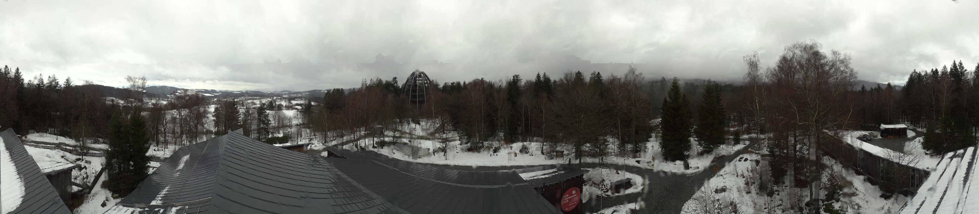 Archived image Webcam Neuschönau - Tree Top Walk Bavarian Forest