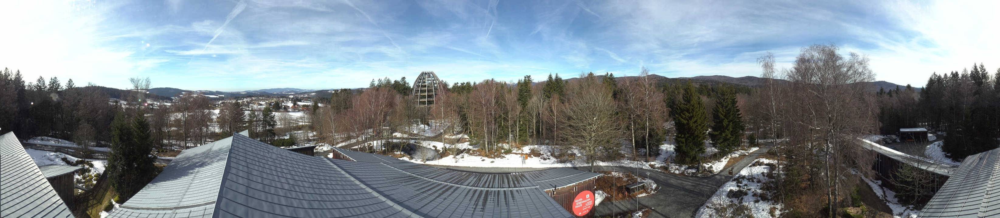 Archived image Webcam Neuschönau - Tree Top Walk Bavarian Forest