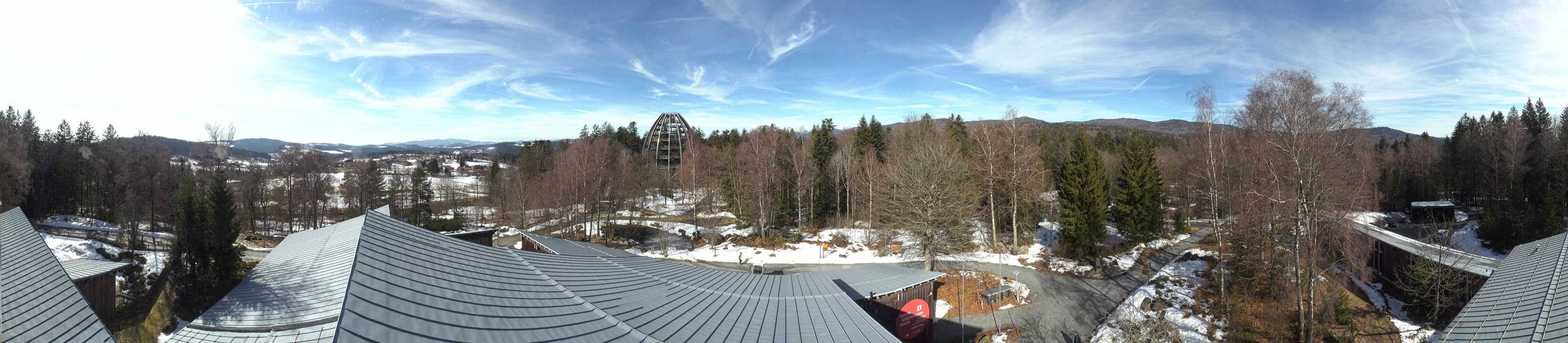 Archived image Webcam Neuschönau - Tree Top Walk Bavarian Forest