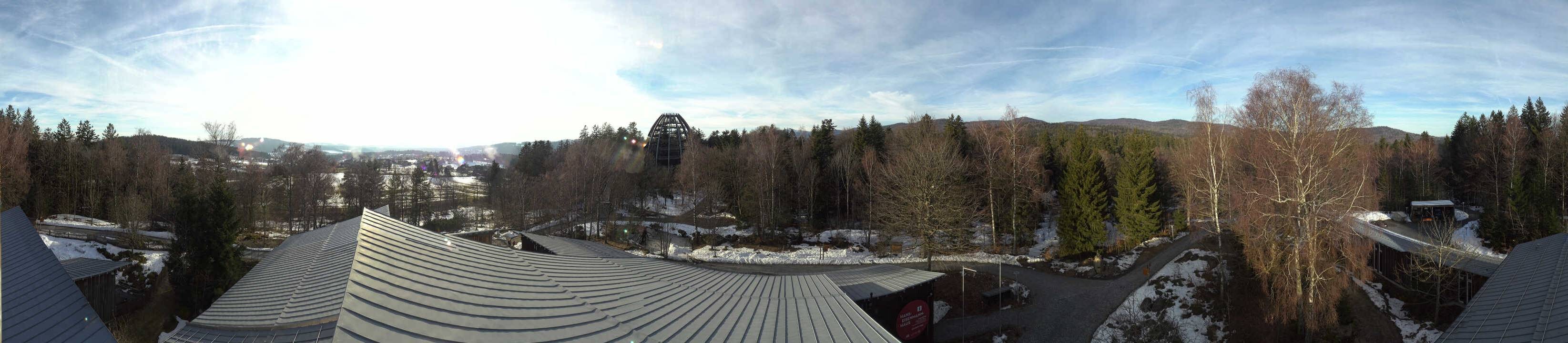 Archived image Webcam Neuschönau - Tree Top Walk Bavarian Forest