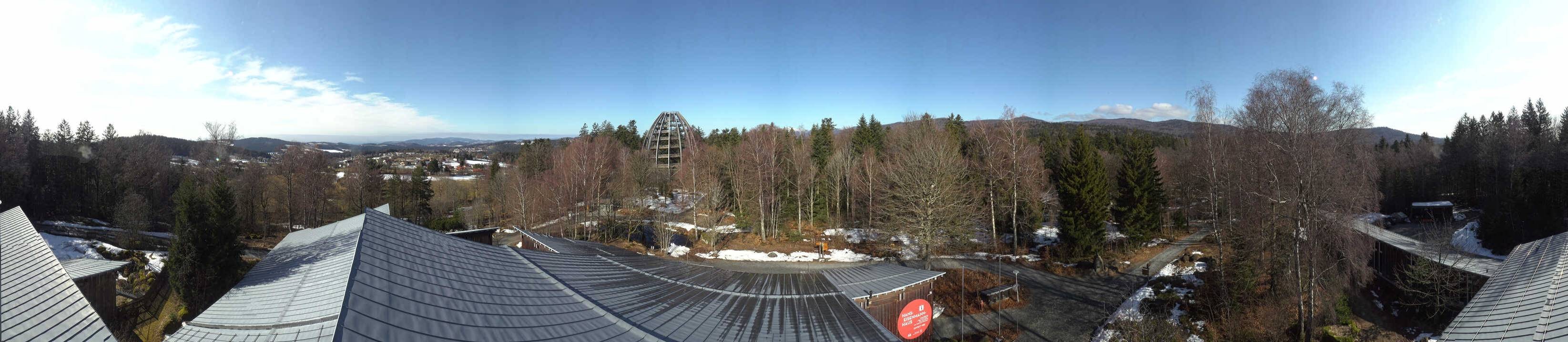 Archiv Foto Webcam Neuschönau - Baumwipfelpfad Bayerischer Wald