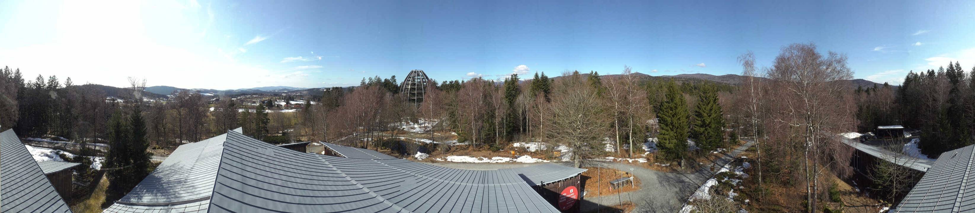Archiv Foto Webcam Neuschönau - Baumwipfelpfad Bayerischer Wald