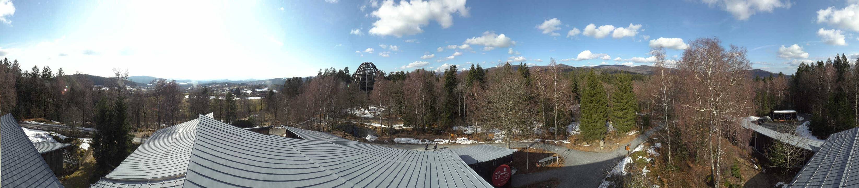 Archiv Foto Webcam Neuschönau - Baumwipfelpfad Bayerischer Wald