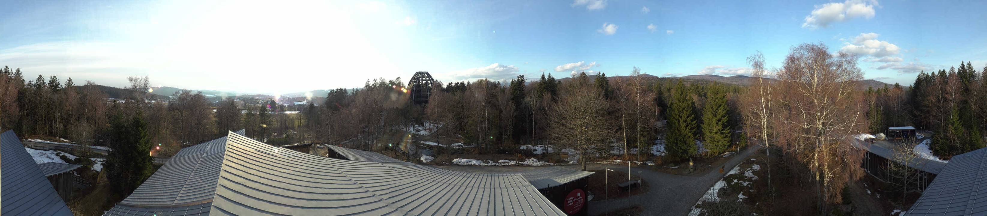 Archiv Foto Webcam Neuschönau - Baumwipfelpfad Bayerischer Wald