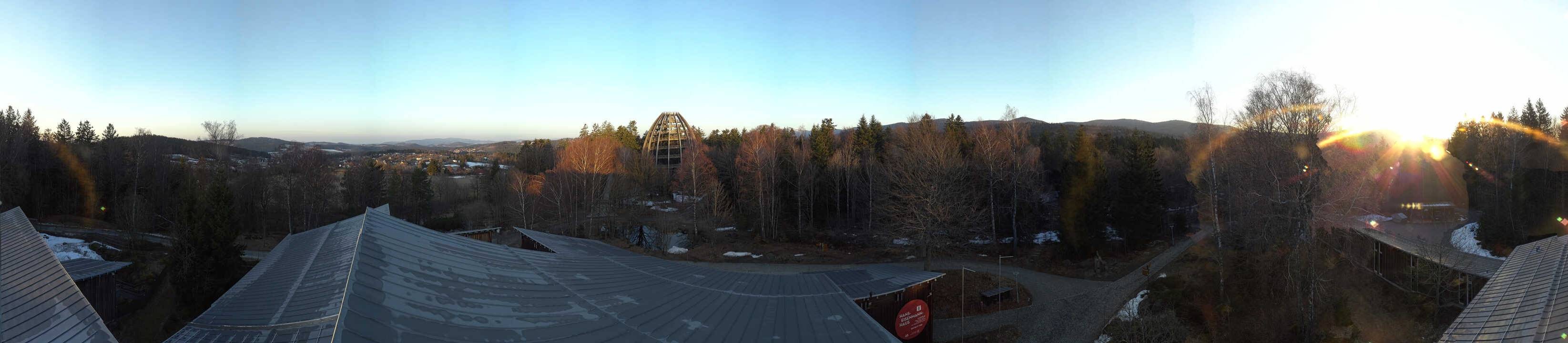 Archiv Foto Webcam Neuschönau - Baumwipfelpfad Bayerischer Wald