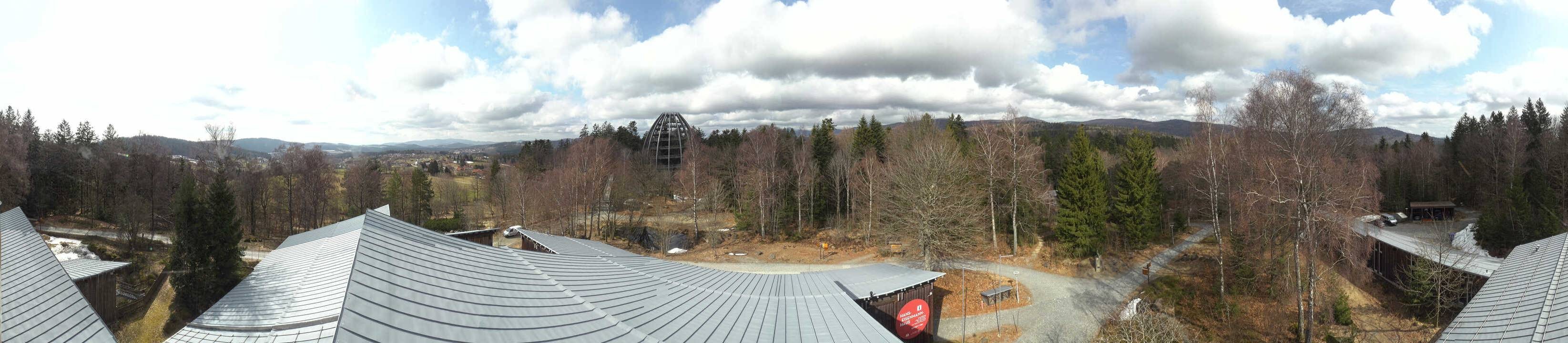 Archiv Foto Webcam Neuschönau - Baumwipfelpfad Bayerischer Wald