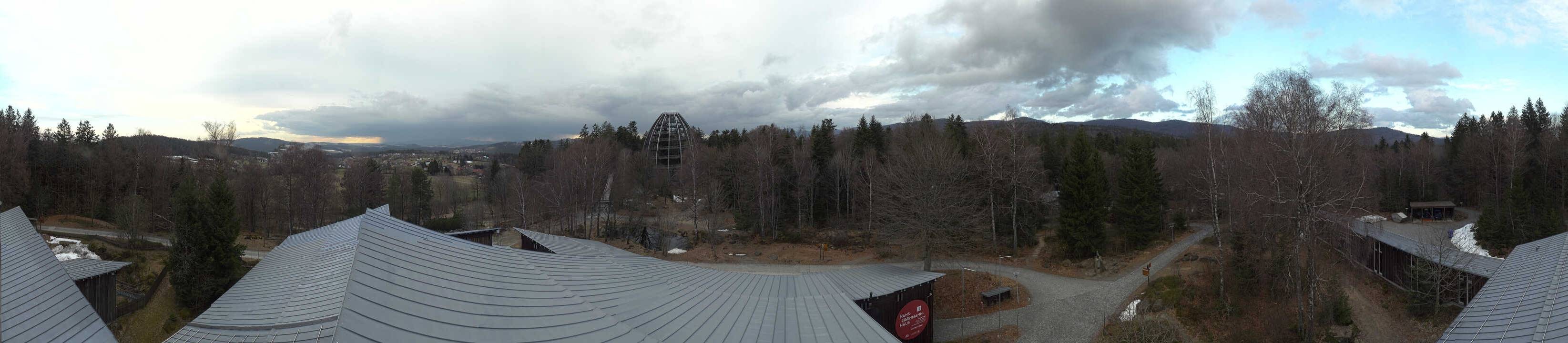Archiv Foto Webcam Neuschönau - Baumwipfelpfad Bayerischer Wald