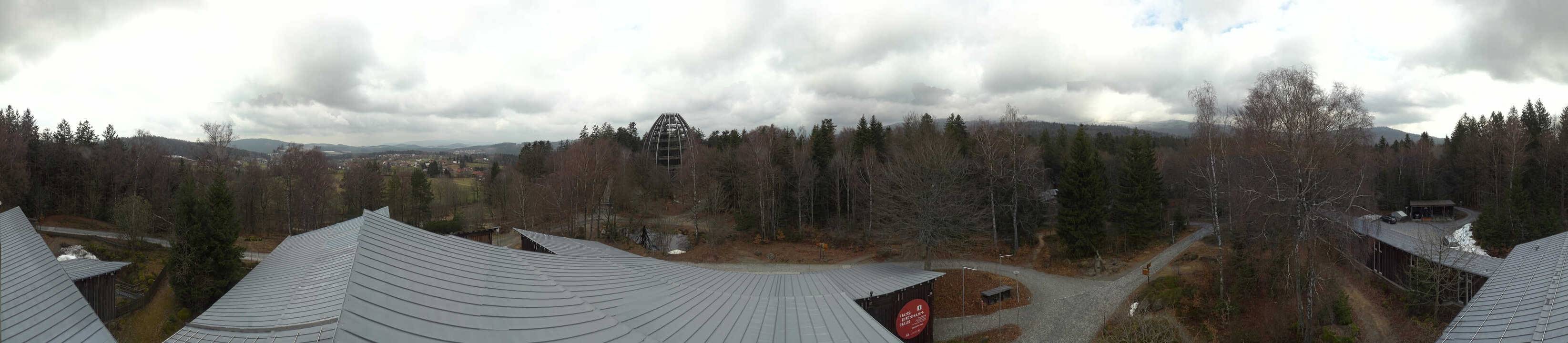 Archiv Foto Webcam Neuschönau - Baumwipfelpfad Bayerischer Wald