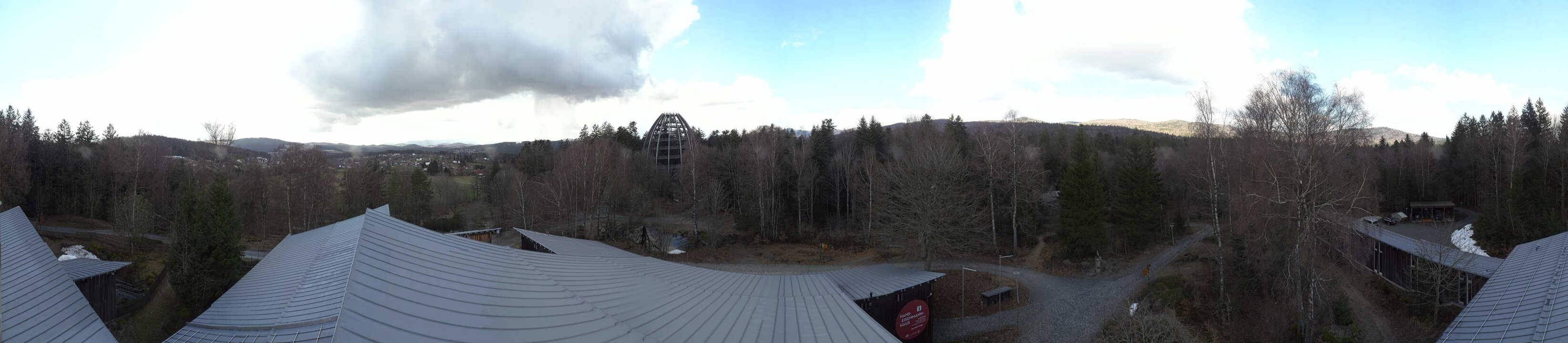 Archiv Foto Webcam Neuschönau - Baumwipfelpfad Bayerischer Wald
