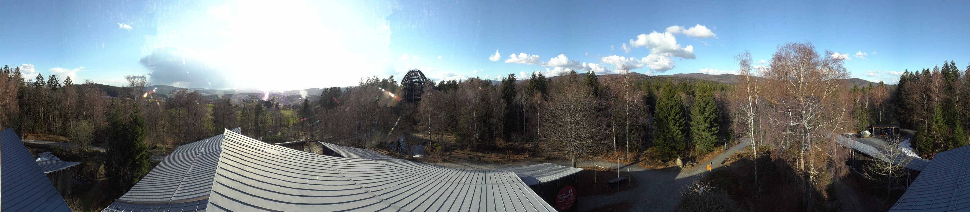 Archiv Foto Webcam Neuschönau - Baumwipfelpfad Bayerischer Wald