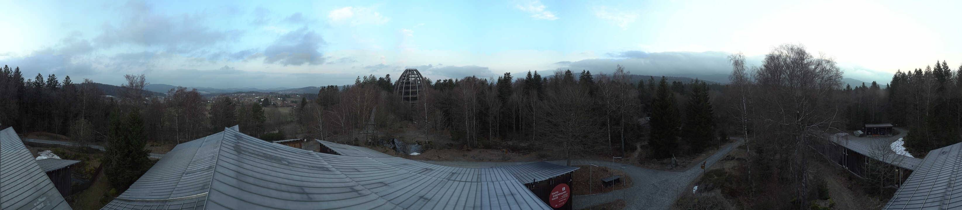 Archiv Foto Webcam Neuschönau - Baumwipfelpfad Bayerischer Wald