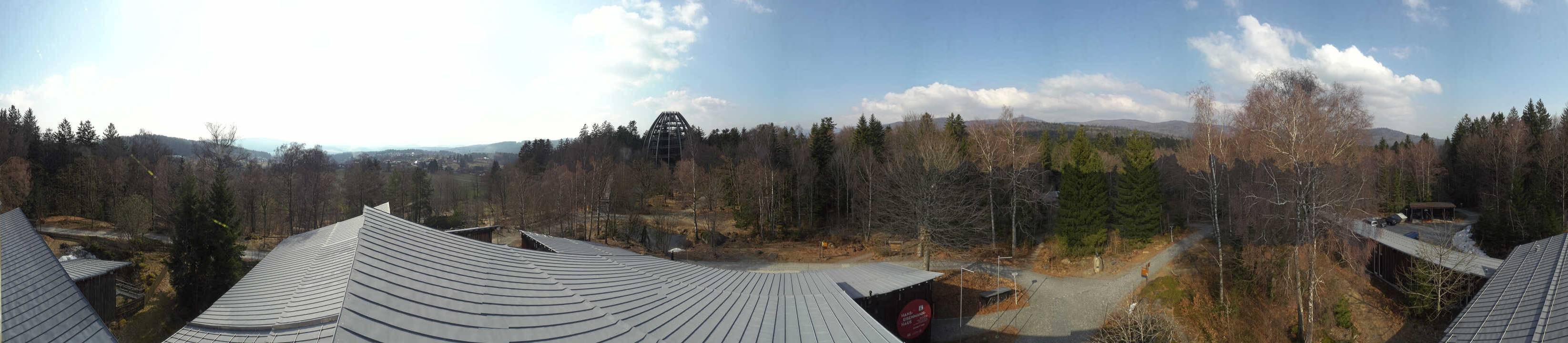 Archiv Foto Webcam Neuschönau - Baumwipfelpfad Bayerischer Wald
