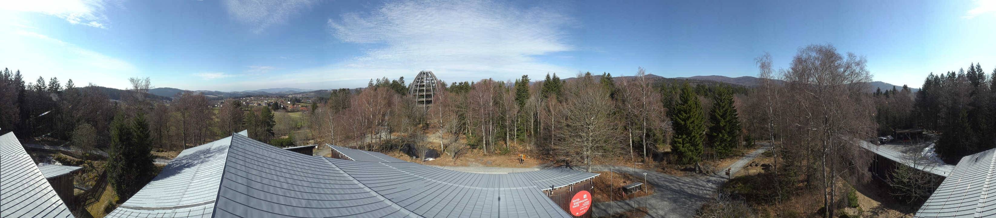 Archiv Foto Webcam Neuschönau - Baumwipfelpfad Bayerischer Wald