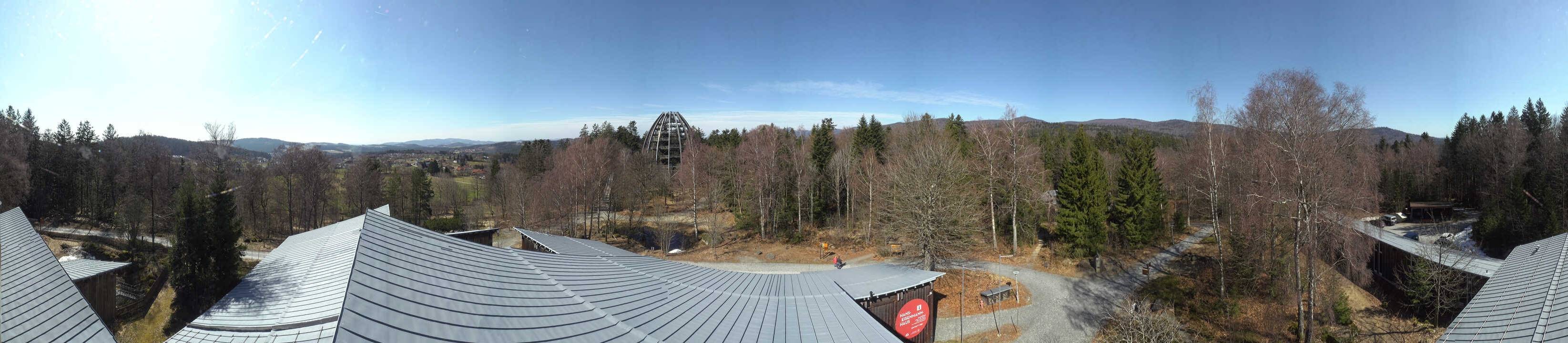 Archiv Foto Webcam Neuschönau - Baumwipfelpfad Bayerischer Wald