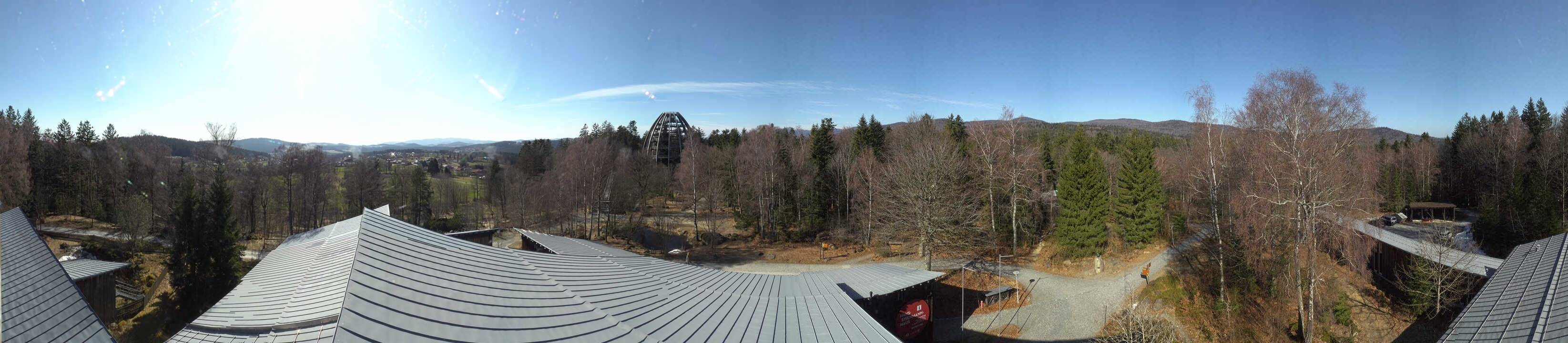 Archiv Foto Webcam Neuschönau - Baumwipfelpfad Bayerischer Wald