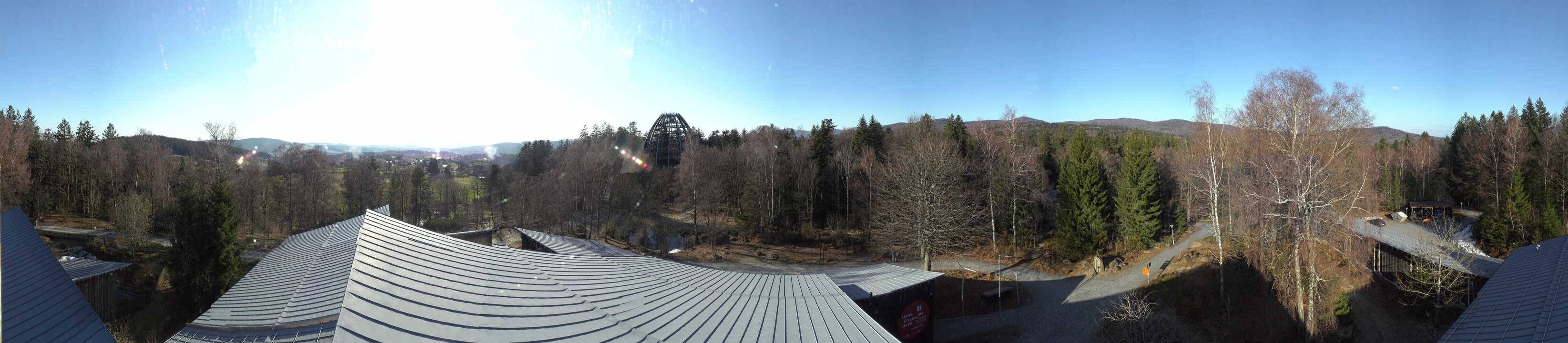 Archiv Foto Webcam Neuschönau - Baumwipfelpfad Bayerischer Wald