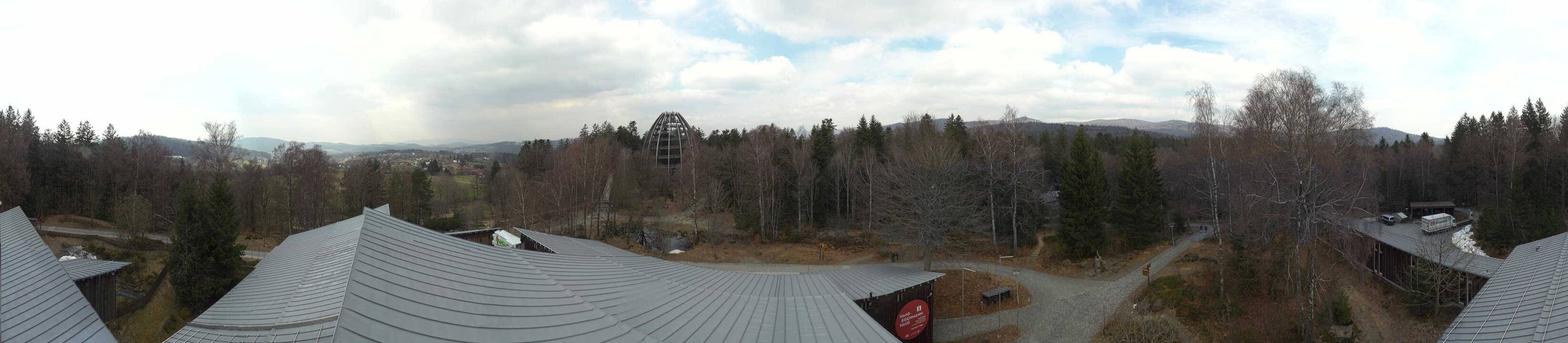 Archiv Foto Webcam Neuschönau - Baumwipfelpfad Bayerischer Wald