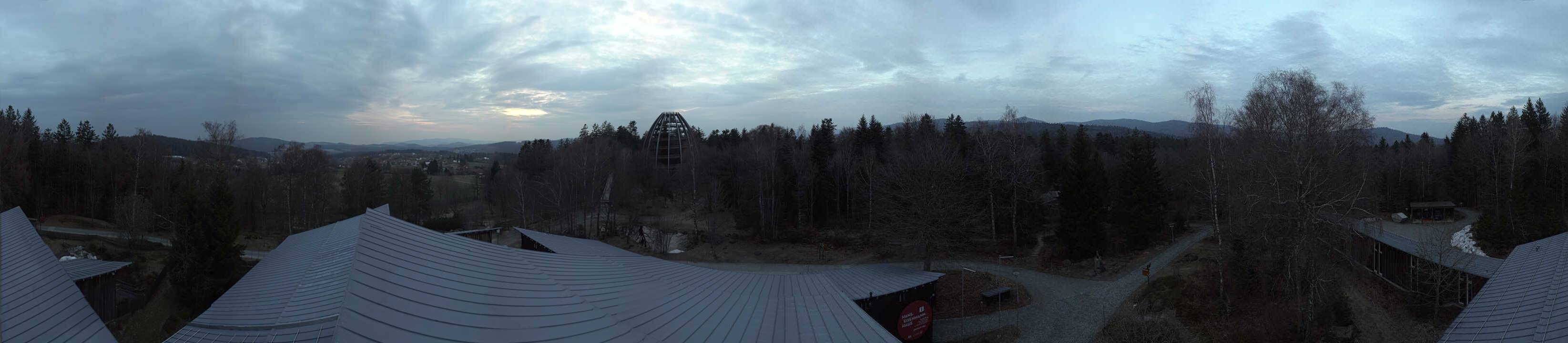 Archiv Foto Webcam Neuschönau - Baumwipfelpfad Bayerischer Wald