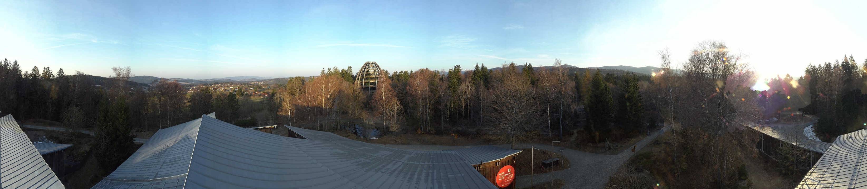 Archiv Foto Webcam Neuschönau - Baumwipfelpfad Bayerischer Wald