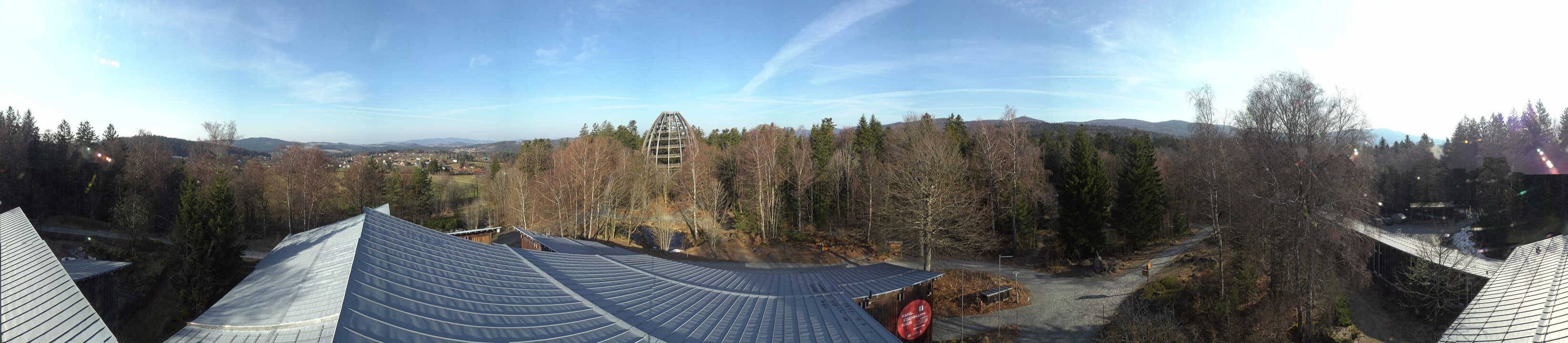 Archiv Foto Webcam Neuschönau - Baumwipfelpfad Bayerischer Wald