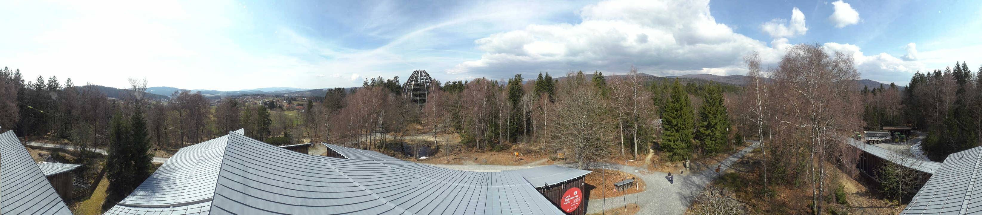 Archiv Foto Webcam Neuschönau - Baumwipfelpfad Bayerischer Wald