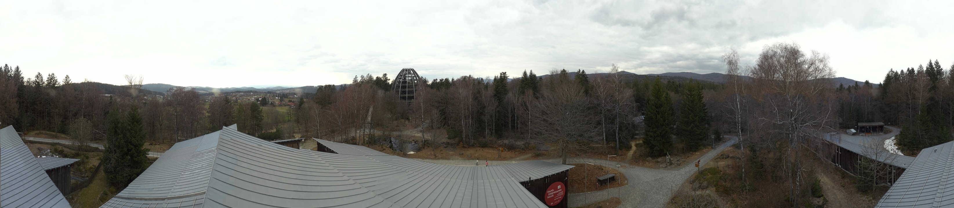 Archiv Foto Webcam Neuschönau - Baumwipfelpfad Bayerischer Wald