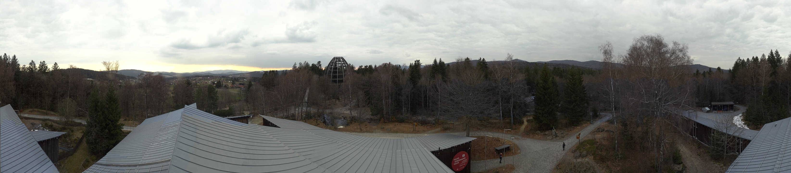 Archiv Foto Webcam Neuschönau - Baumwipfelpfad Bayerischer Wald