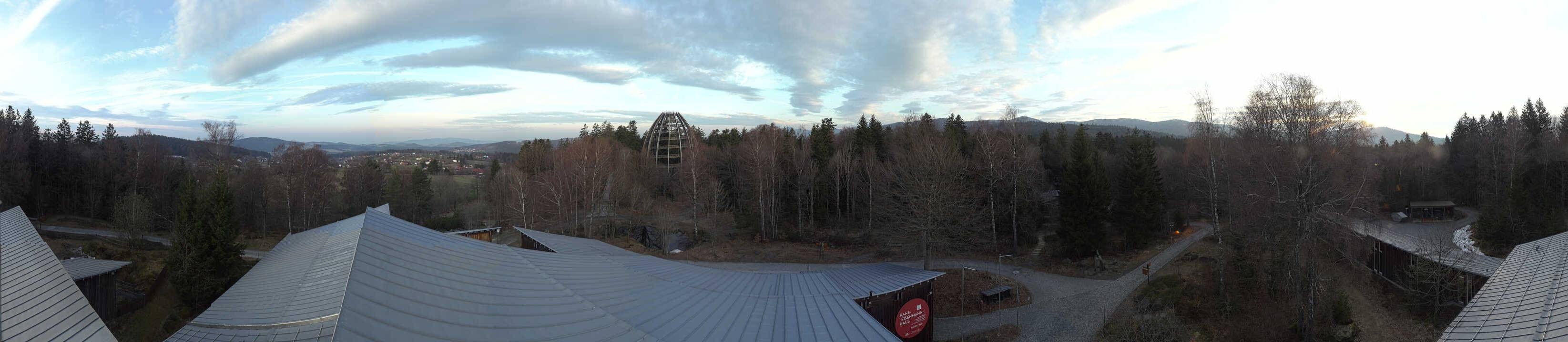 Archived image Webcam Neuschönau - Tree Top Walk Bavarian Forest