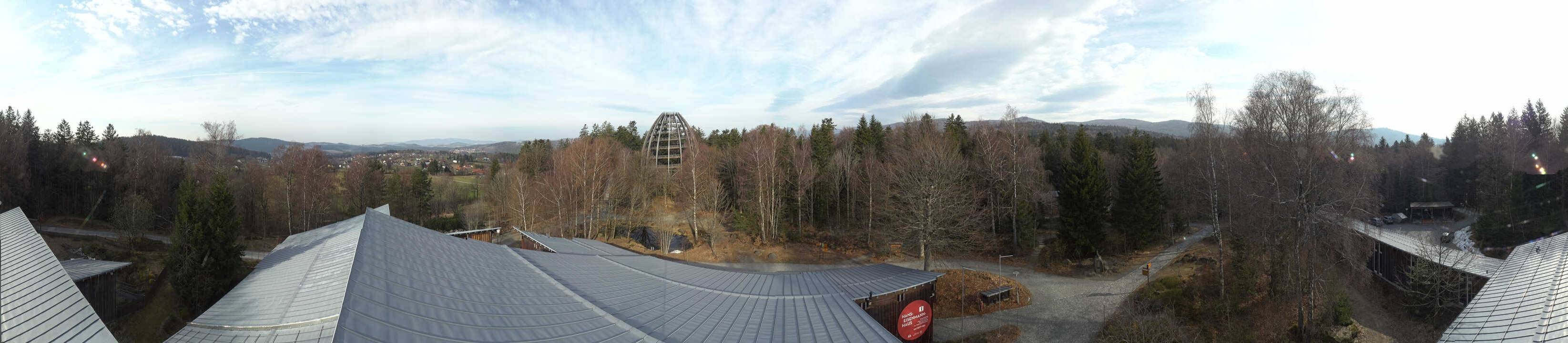 Archived image Webcam Neuschönau - Tree Top Walk Bavarian Forest