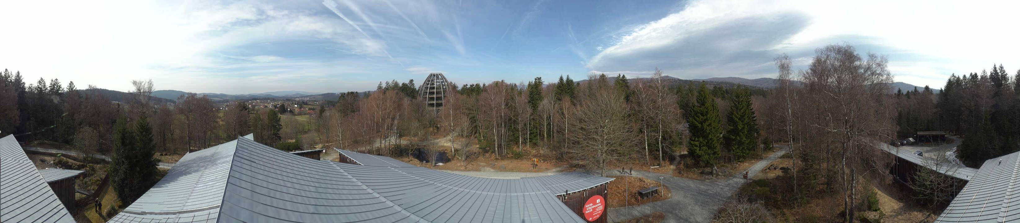 Archived image Webcam Neuschönau - Tree Top Walk Bavarian Forest