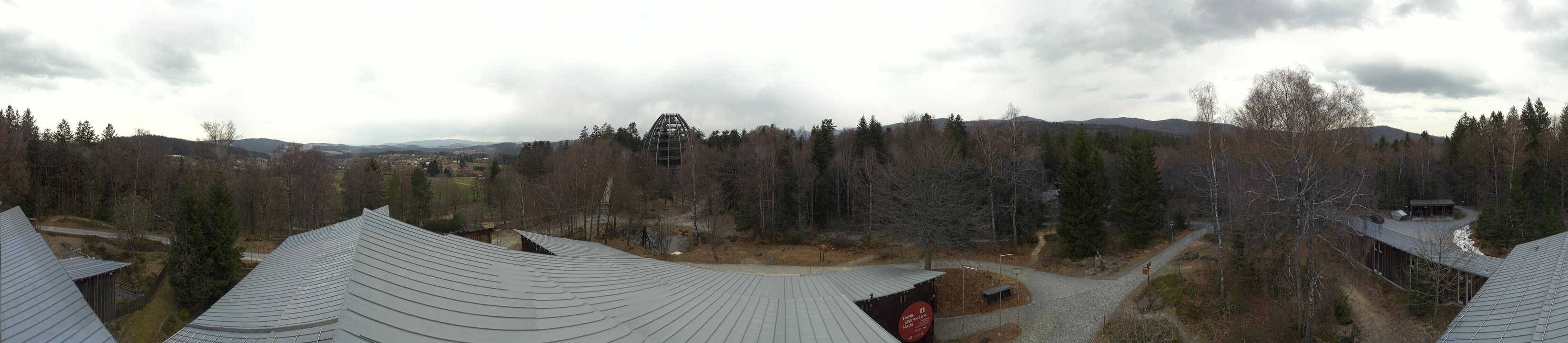 Archived image Webcam Neuschönau - Tree Top Walk Bavarian Forest