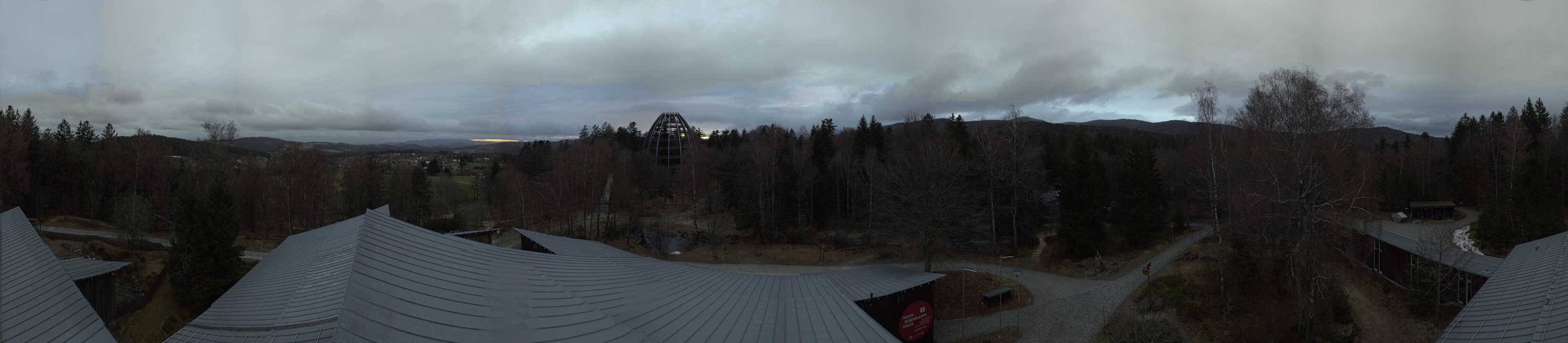 Archived image Webcam Neuschönau - Tree Top Walk Bavarian Forest