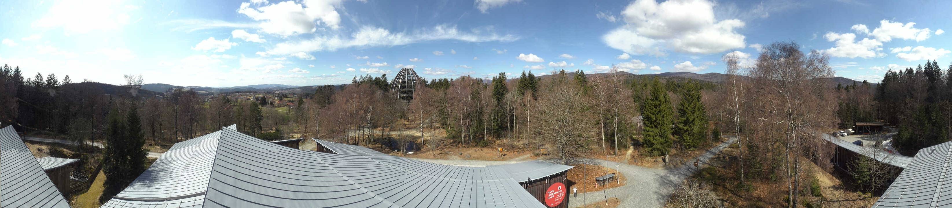 Archiv Foto Webcam Neuschönau - Baumwipfelpfad Bayerischer Wald