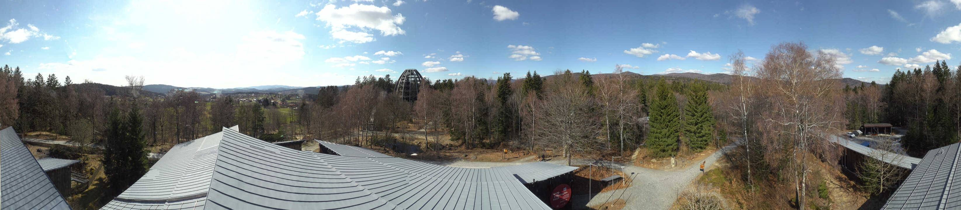 Archiv Foto Webcam Neuschönau - Baumwipfelpfad Bayerischer Wald