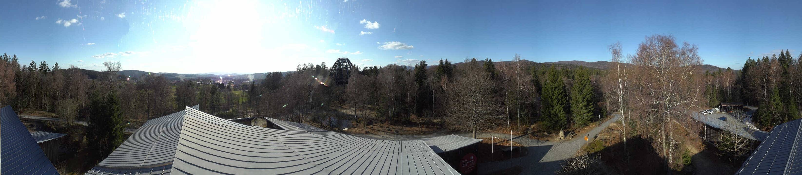 Archiv Foto Webcam Neuschönau - Baumwipfelpfad Bayerischer Wald